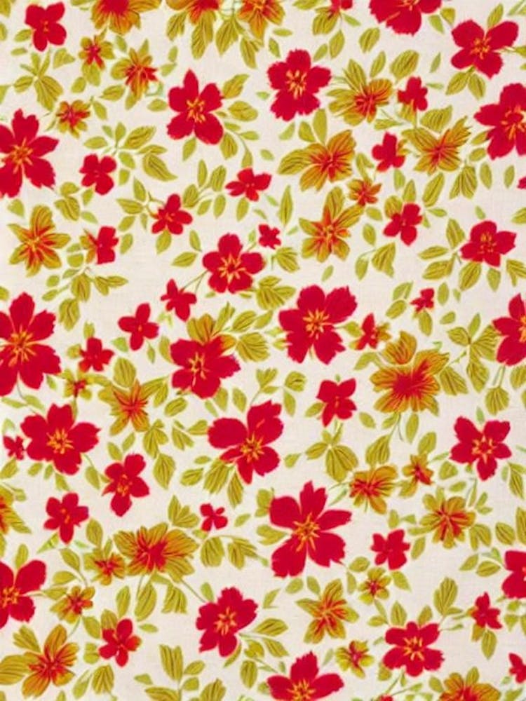 Mandevilla Floral Print Retro Pattern 1 Flower