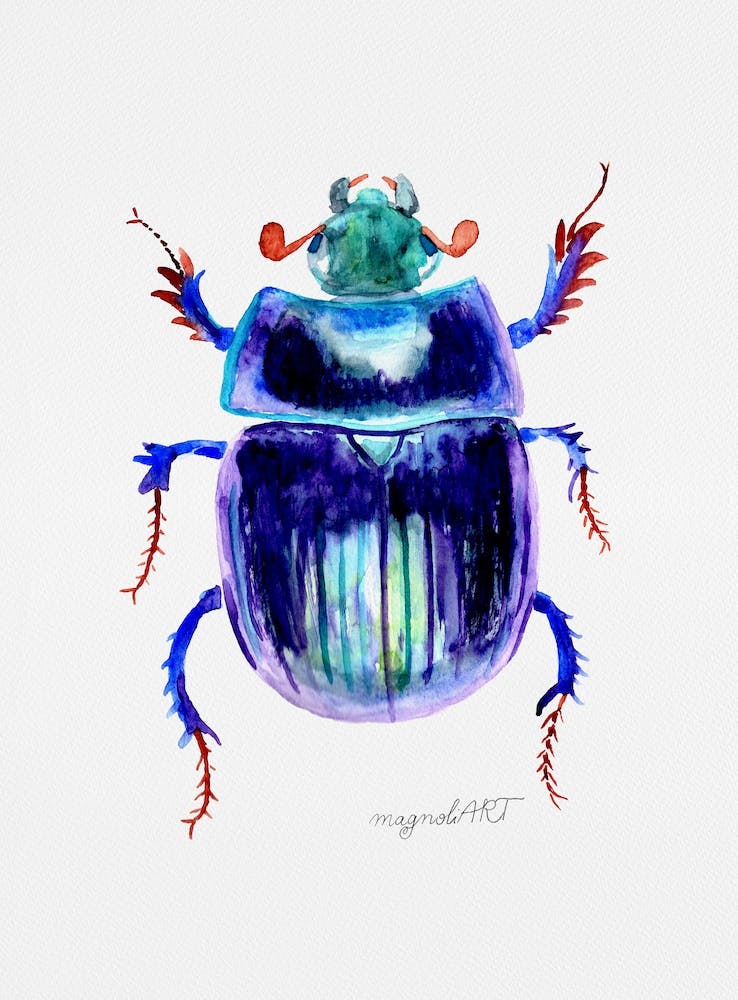 Anoplotrupes stercorosus or earth-boring dung beetle , watercolor artwork
