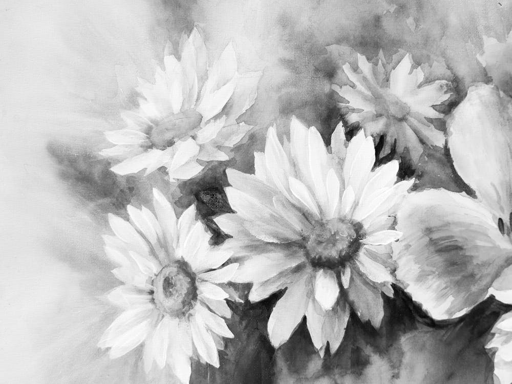 Daisies In A Vase