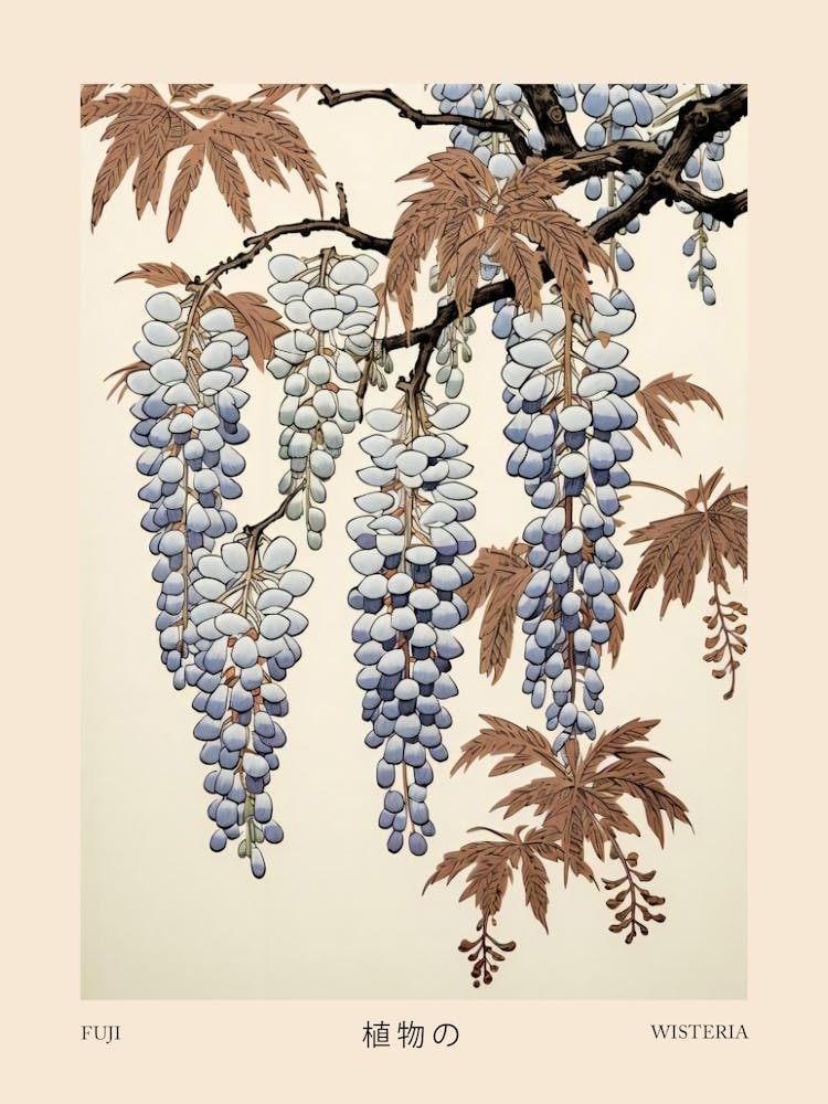 Fuji Glyzinie 2 Vintage Japanisches Botanisches Poster