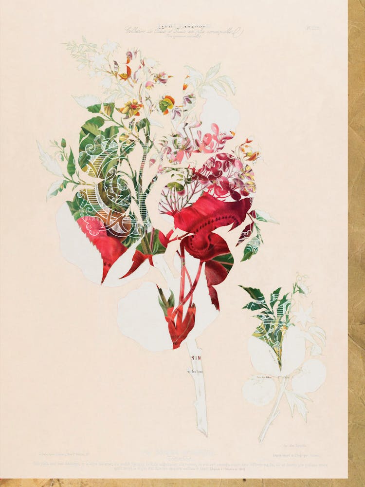 The First Plant · Aufbluehen