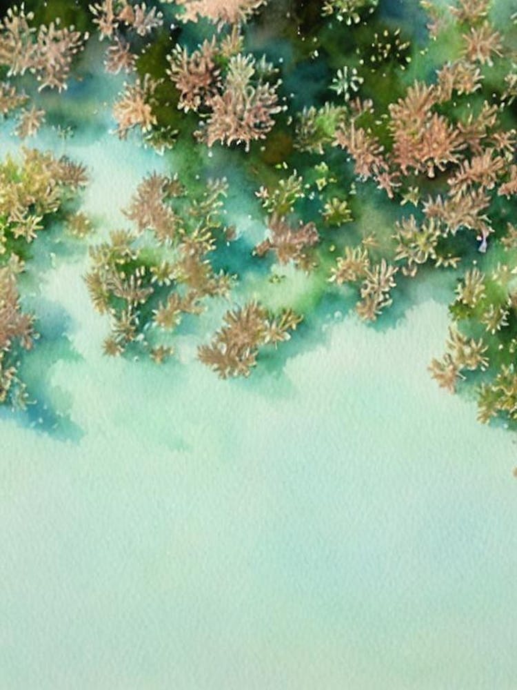 Acropora Nasuta Iii Aquarelle style conte de fées