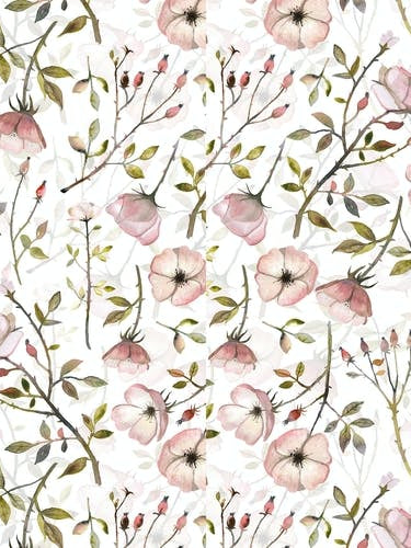 Watercolor Dog Roses