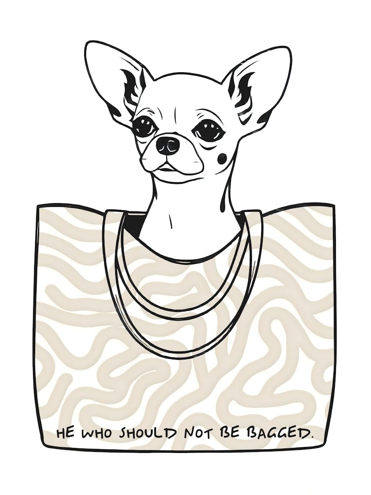 He Who Should Not Be Bagged Patterned