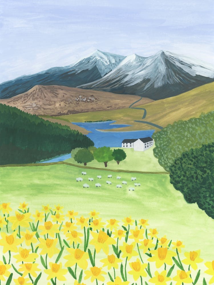 Mount Snowdon with Daffodils