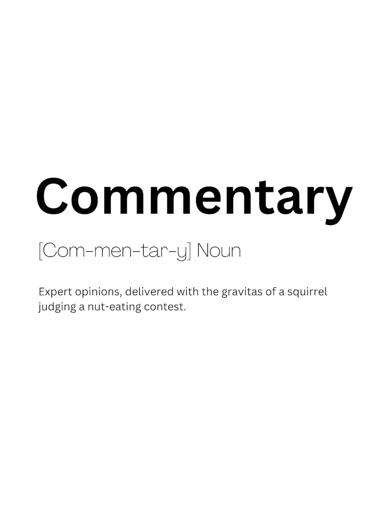 Commentary Definition Meaning