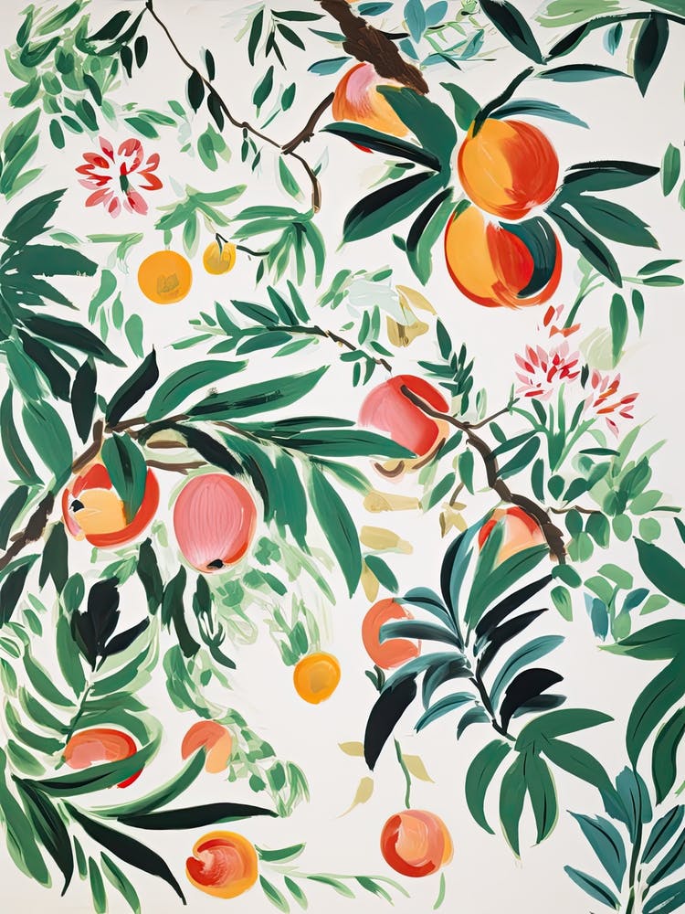 Nectarine Fruit Drawing 4