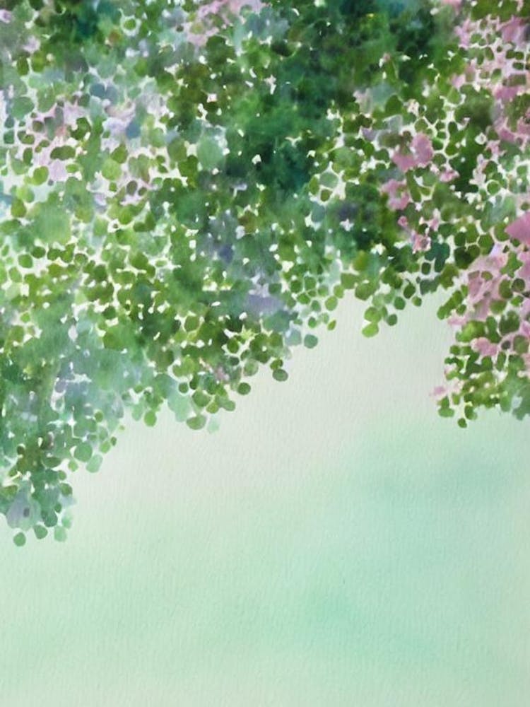 Pocillopora Storybook Watercolour