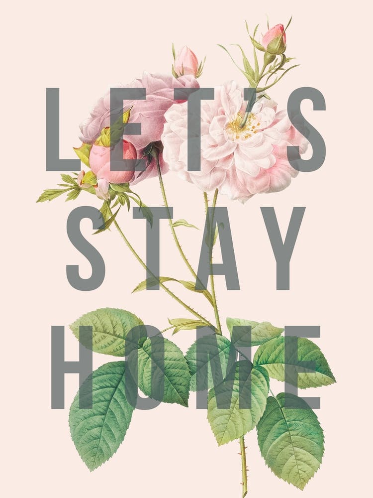 Stay Home