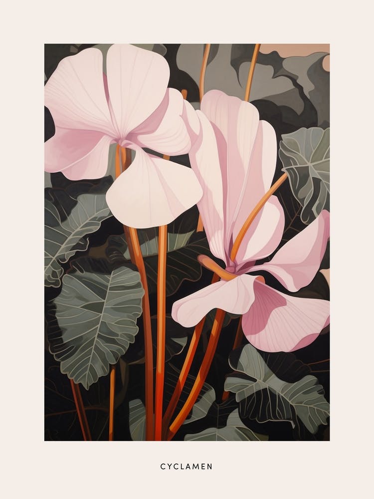Illustration de Fleur Cyclamen 1 Affiche