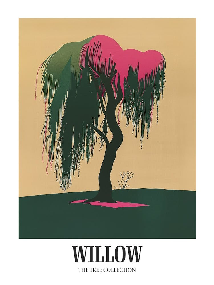 Willow Tree Colourful Illustration 3 Poster