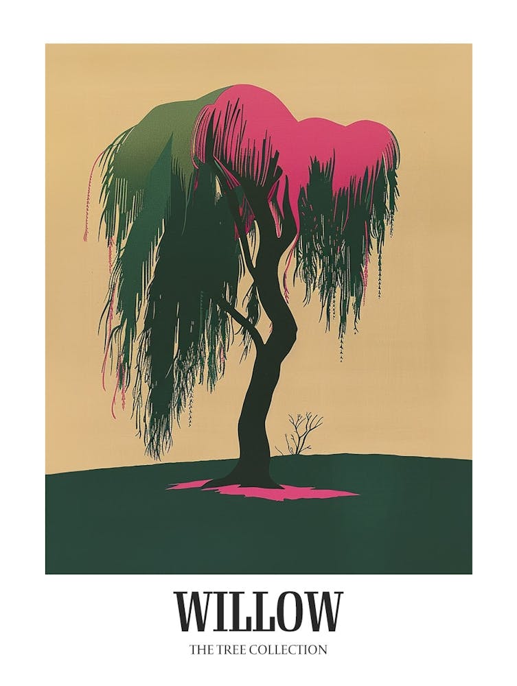 Willow Tree Colourful Illustration 3 Poster