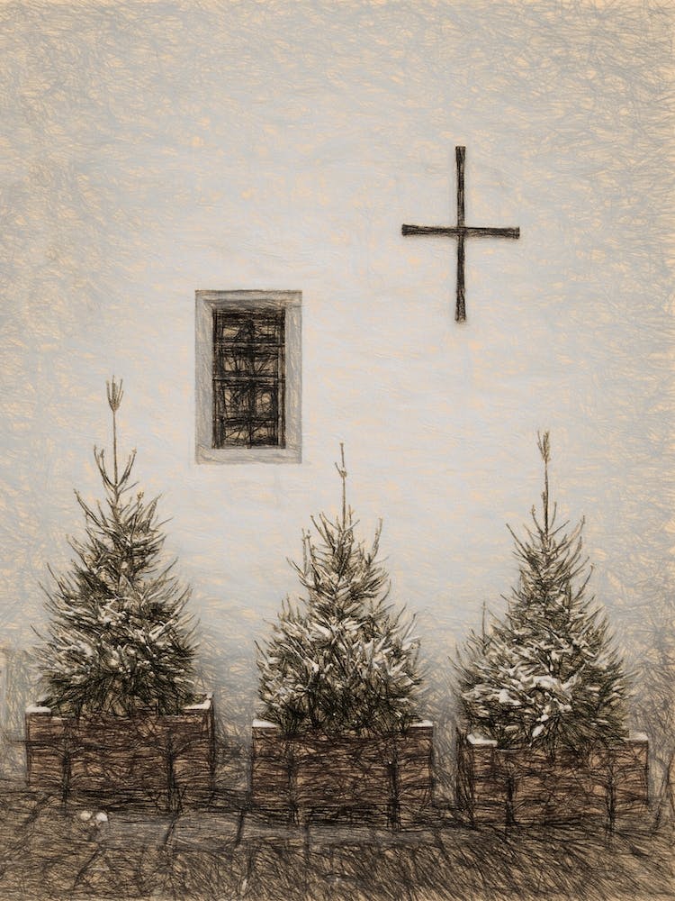 The Three Christmas Trees