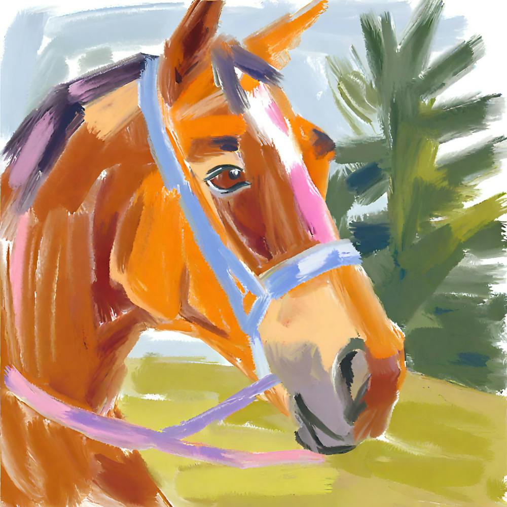 Thoroughbred Horse 04 1