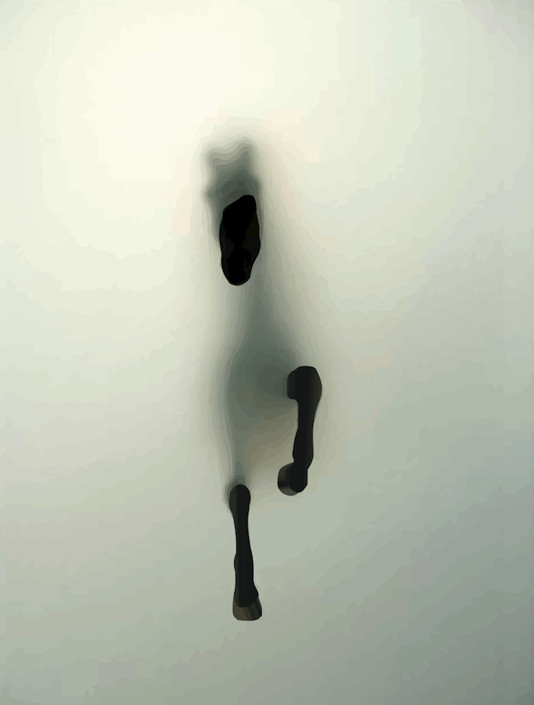Abstract Horse Through the Fog