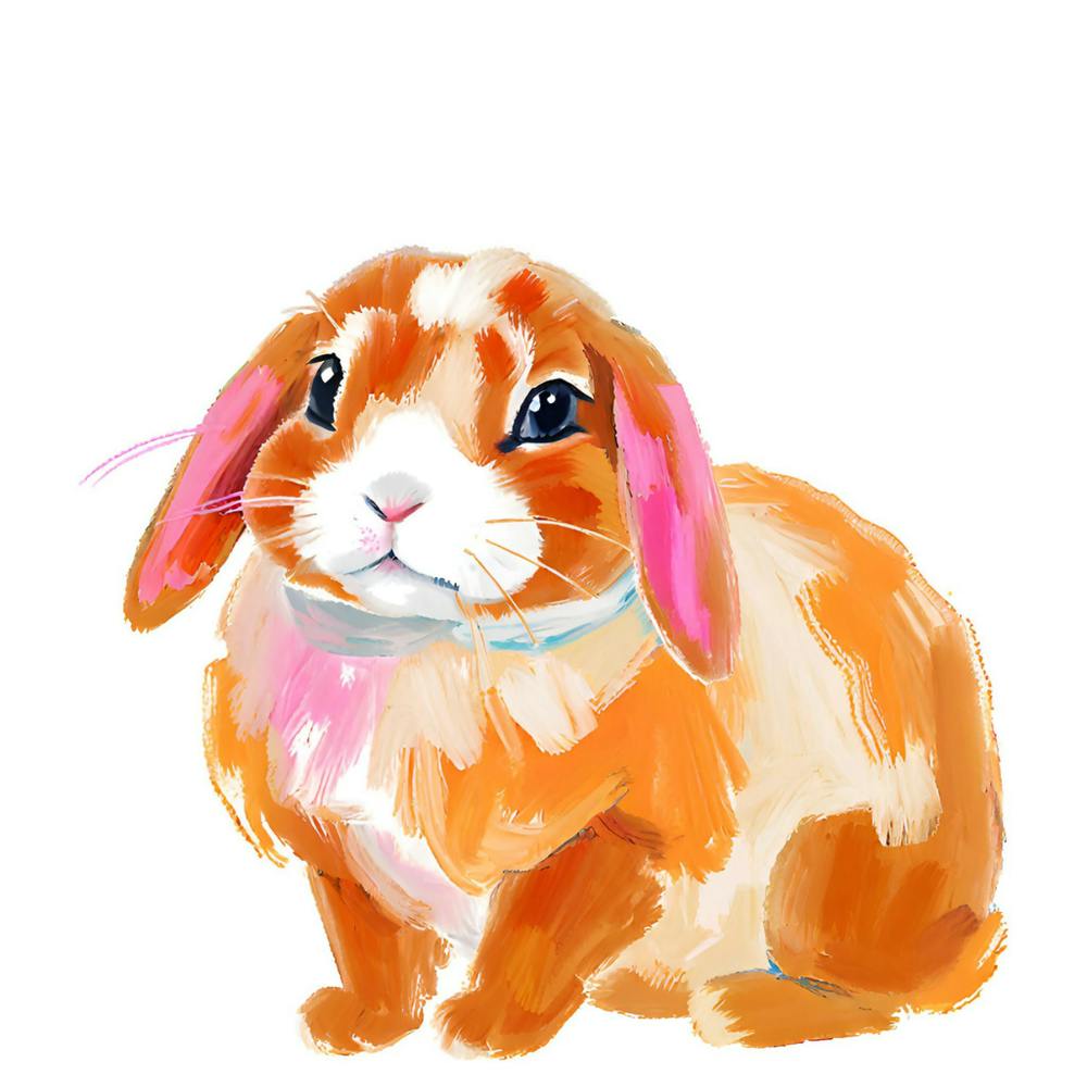 Holland Lop Rabbit 01 1