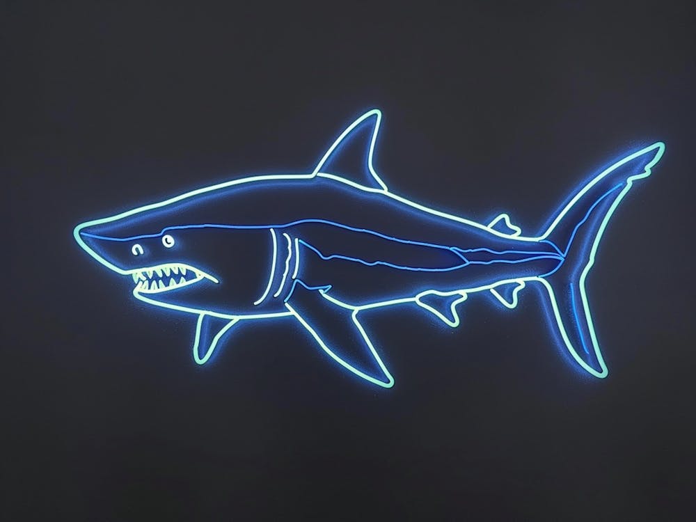Neon Blue Common Thresher Shark 5