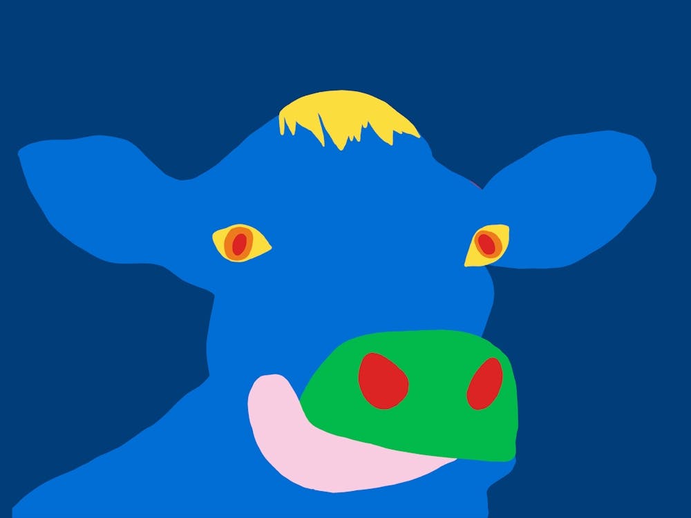 Cow Sticking Out His Tongue 1