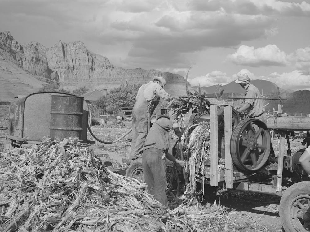 Extracting Juice From Cane On Farm In Ivins, Washington County, Utah, See General Caption By Russell Lee