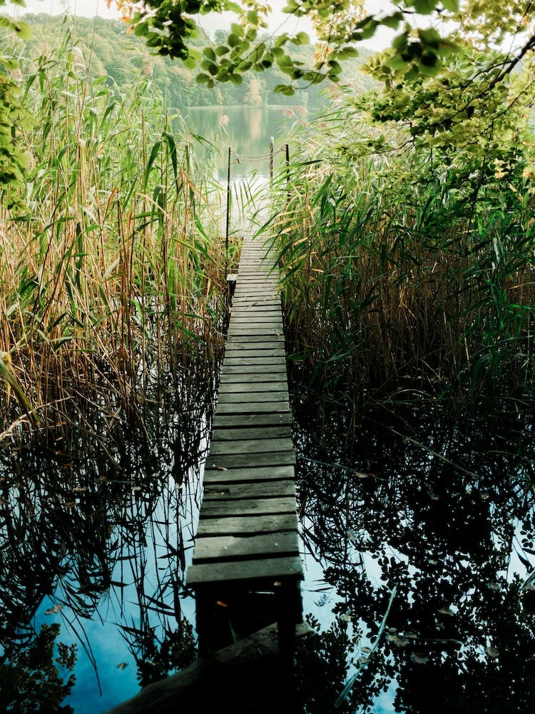 Idyllic Lakeview