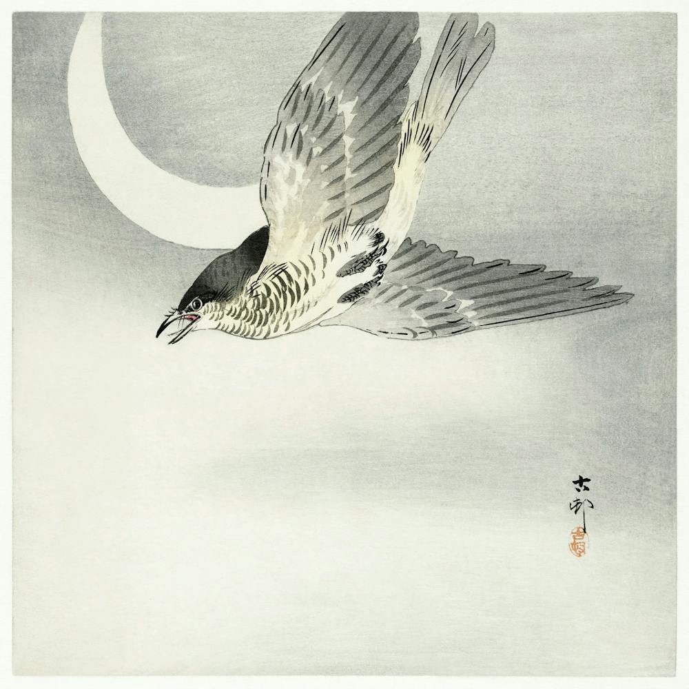 Cuckoo At Crescent Moon (1900 1930), Ohara Koson