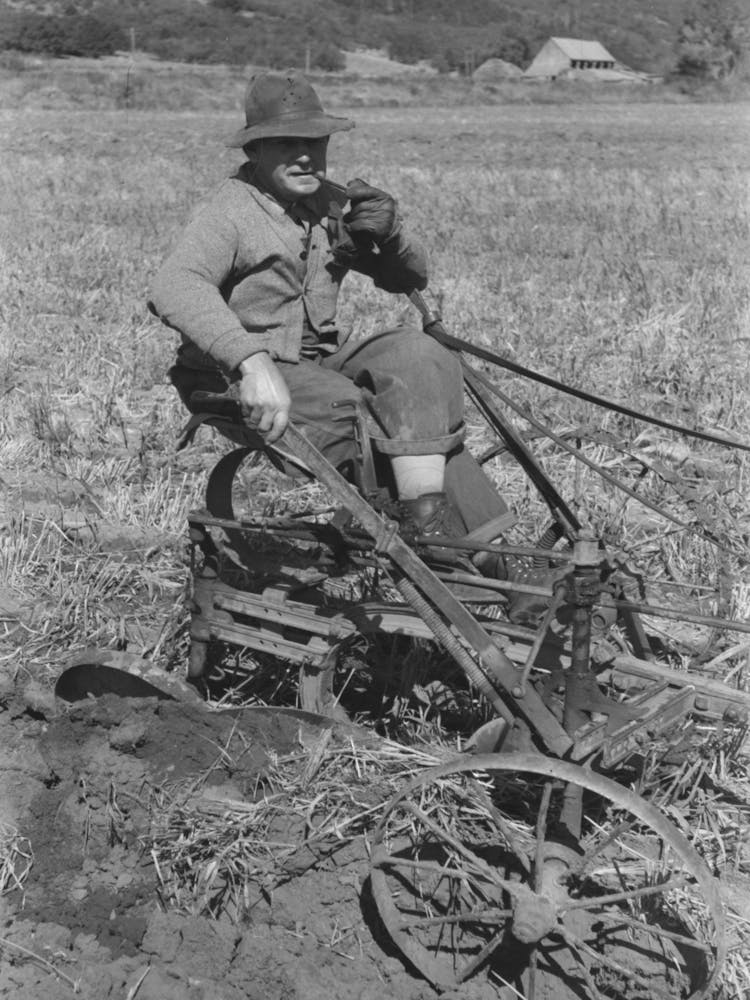 Farmer In Animas River Valley, La Plata County, Colorado By Russell Lee