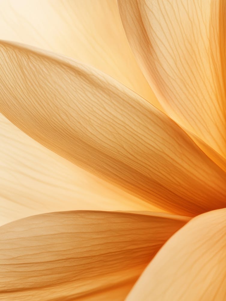 Close Up Of A Yellow Flower