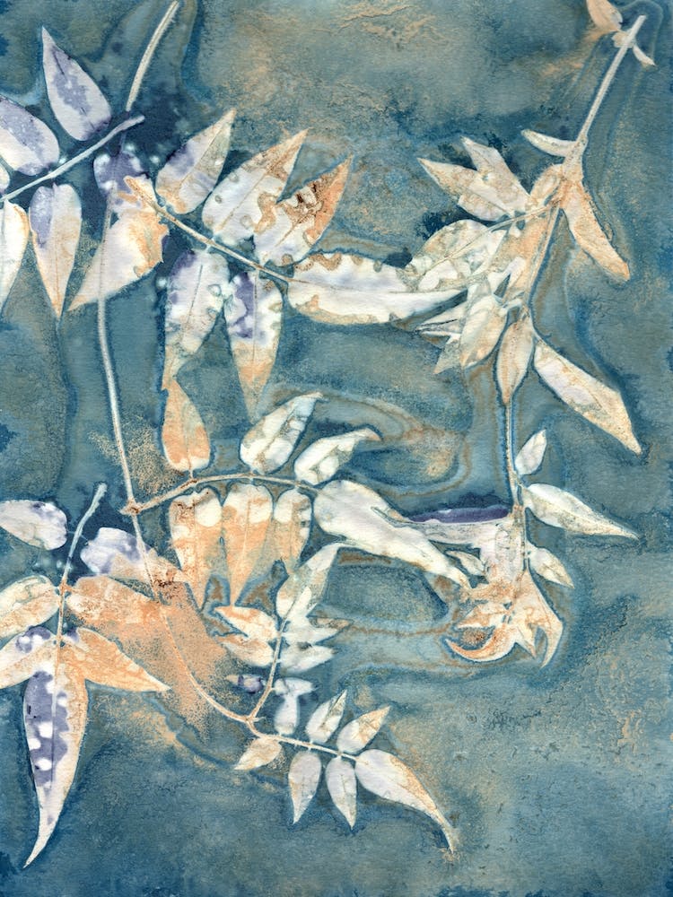 Botany Blue 4