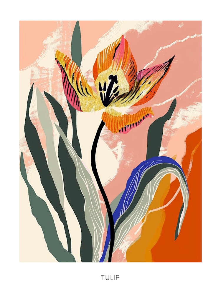 Colourful Flower Illustration Poster Tulip 1