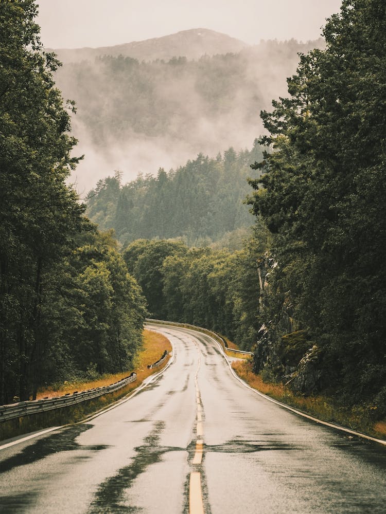 Road To Norway Forest