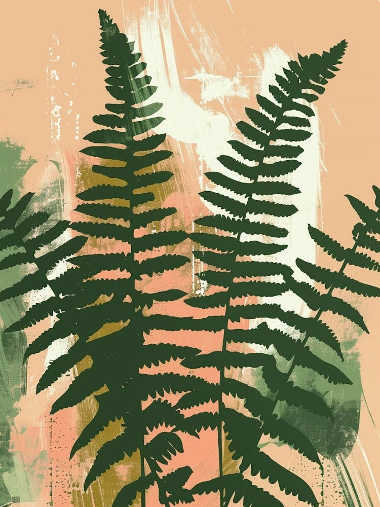 Boston Fern Plant Minimalist Illustration 4