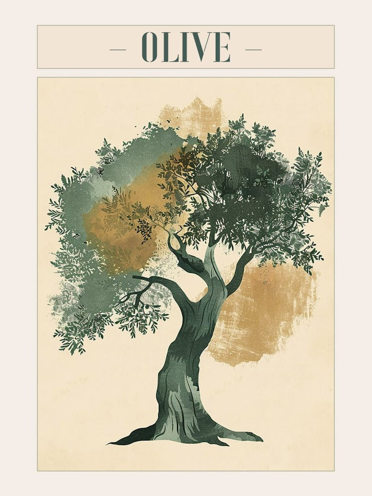 Olive Tree Minimal Japandi Illustration 1 Poster
