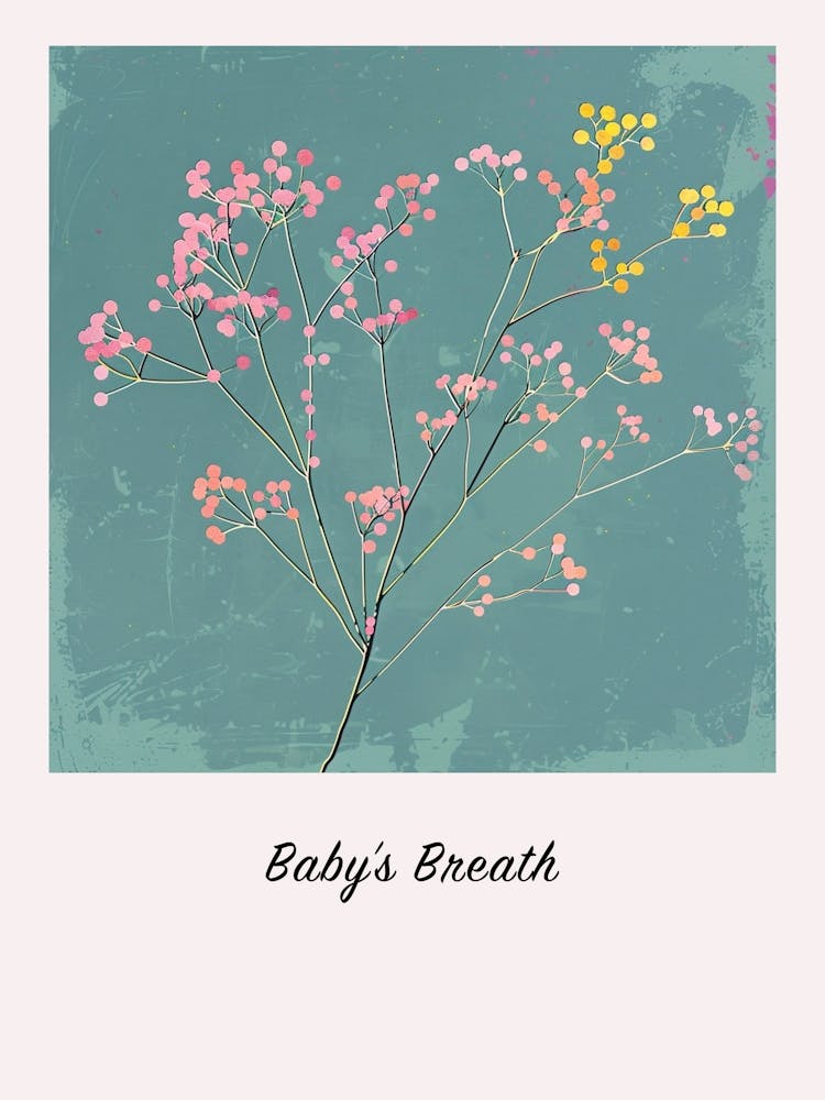 Babys Breath 2 Square Flower Illustration Poster