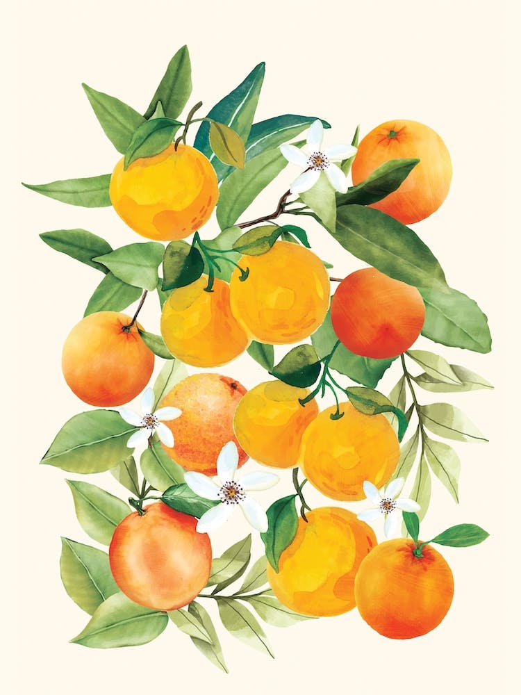 Oranges