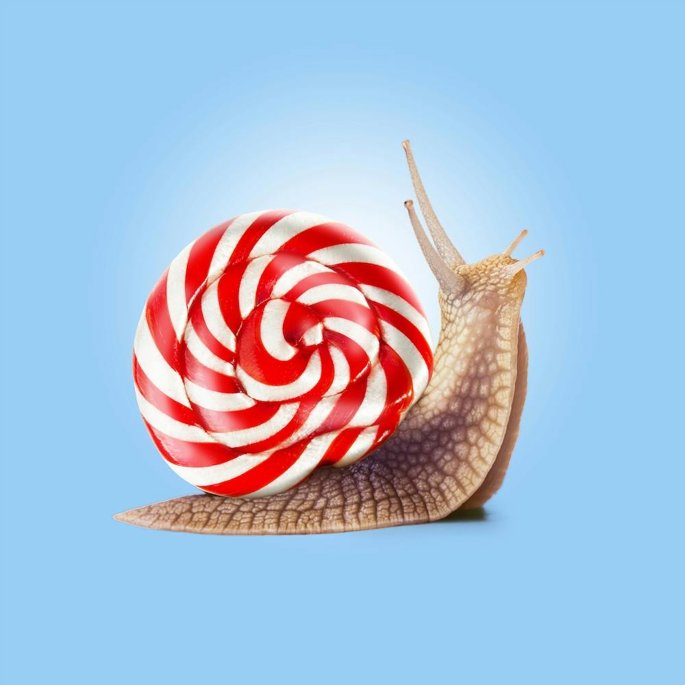 Snail Candy Square