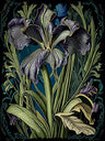Art Nouveau Illustration Art Prints