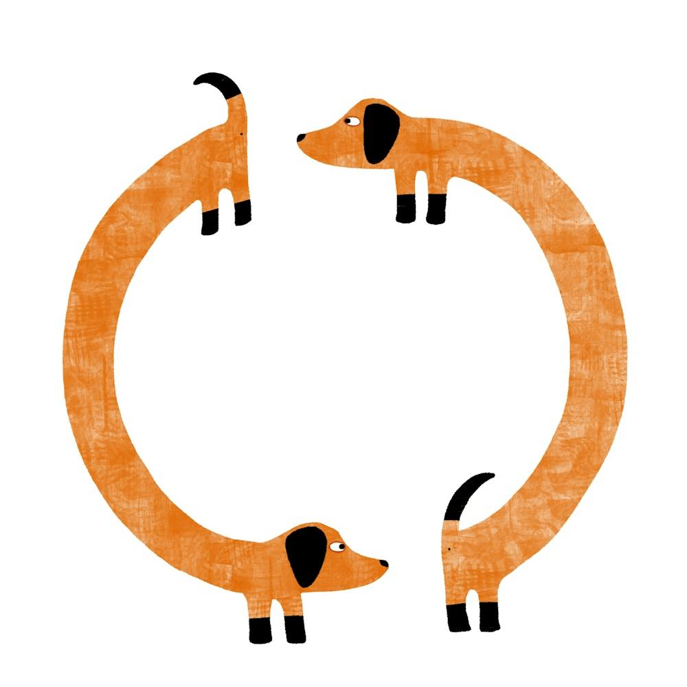 Dachshund Wiener Sausage Dog Perpetual Motion Circle