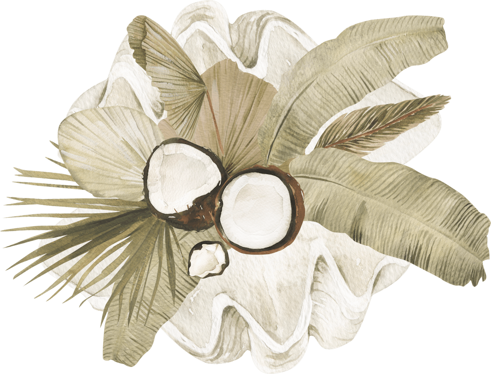 Coconuts And Leaves