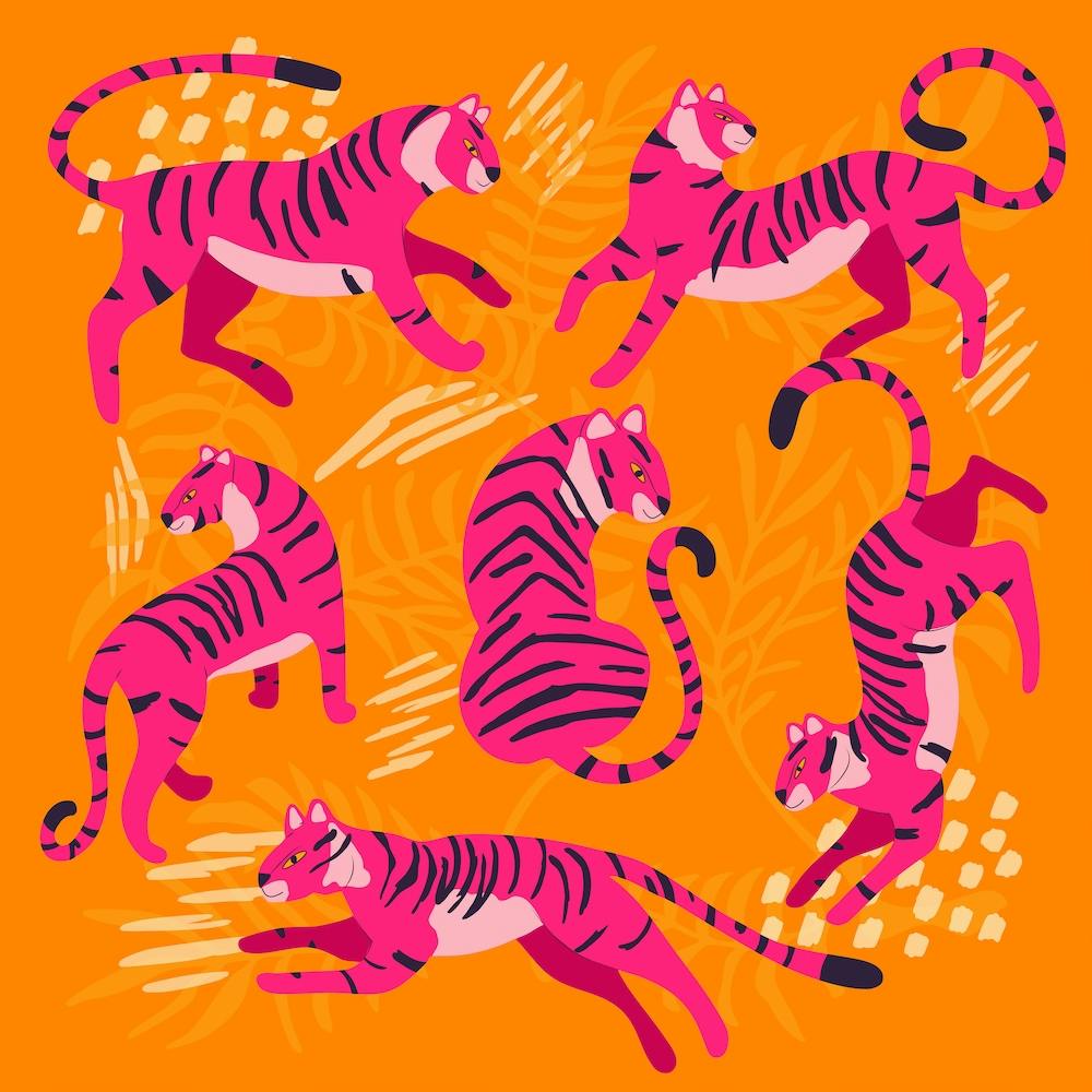 Lebhafte rosa Tiger auf leuchtend orangefarbenem Quadrat