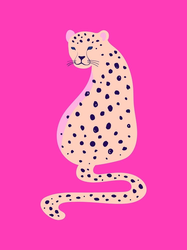 Cheetah