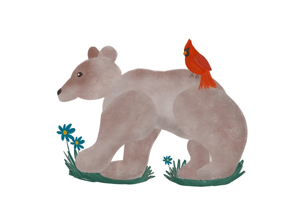 Woodland Bear Card