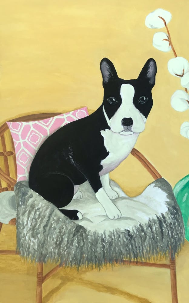 Frenchie On Rattan Chair