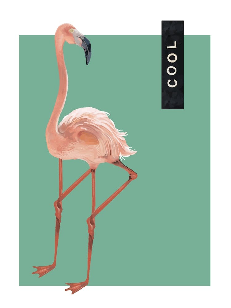 Cool Flamingo