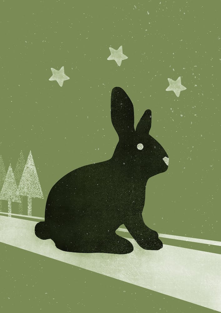 Winter Hase