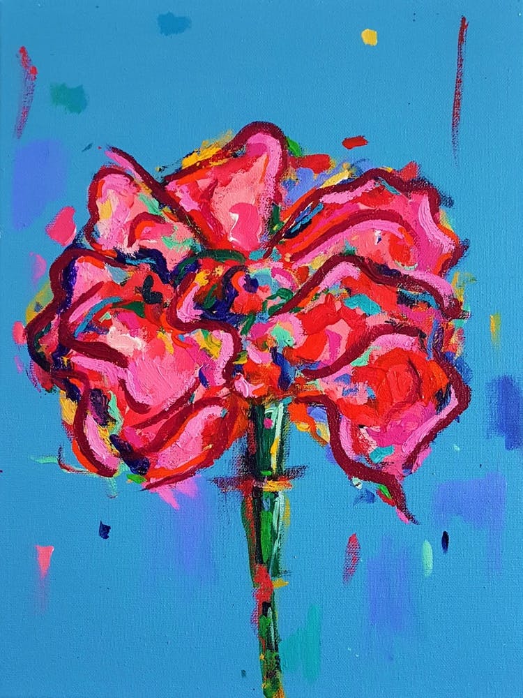 Carnation