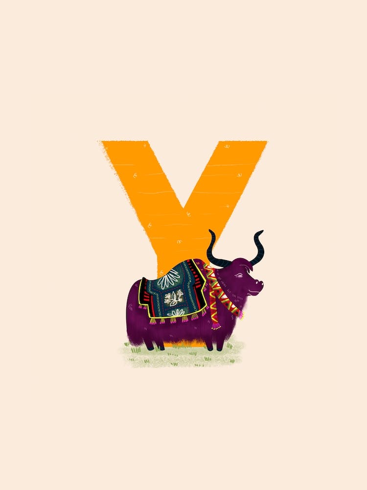 Letter Y Yak