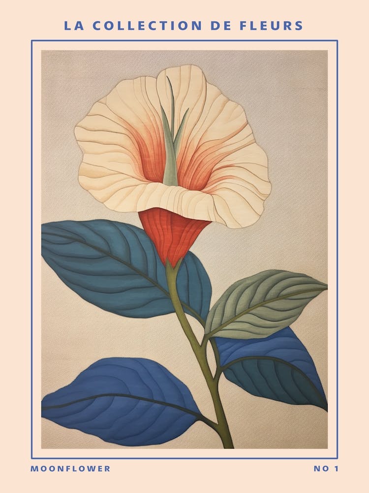 Moonflower French Flower Botanical Poster