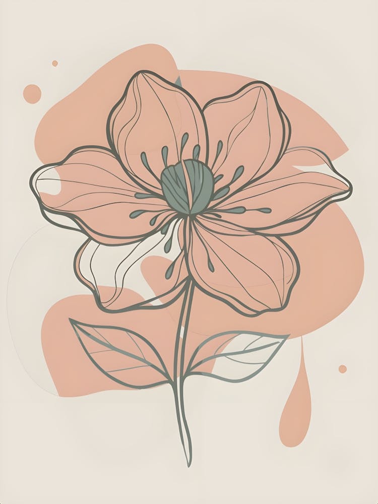 Tulpenblume