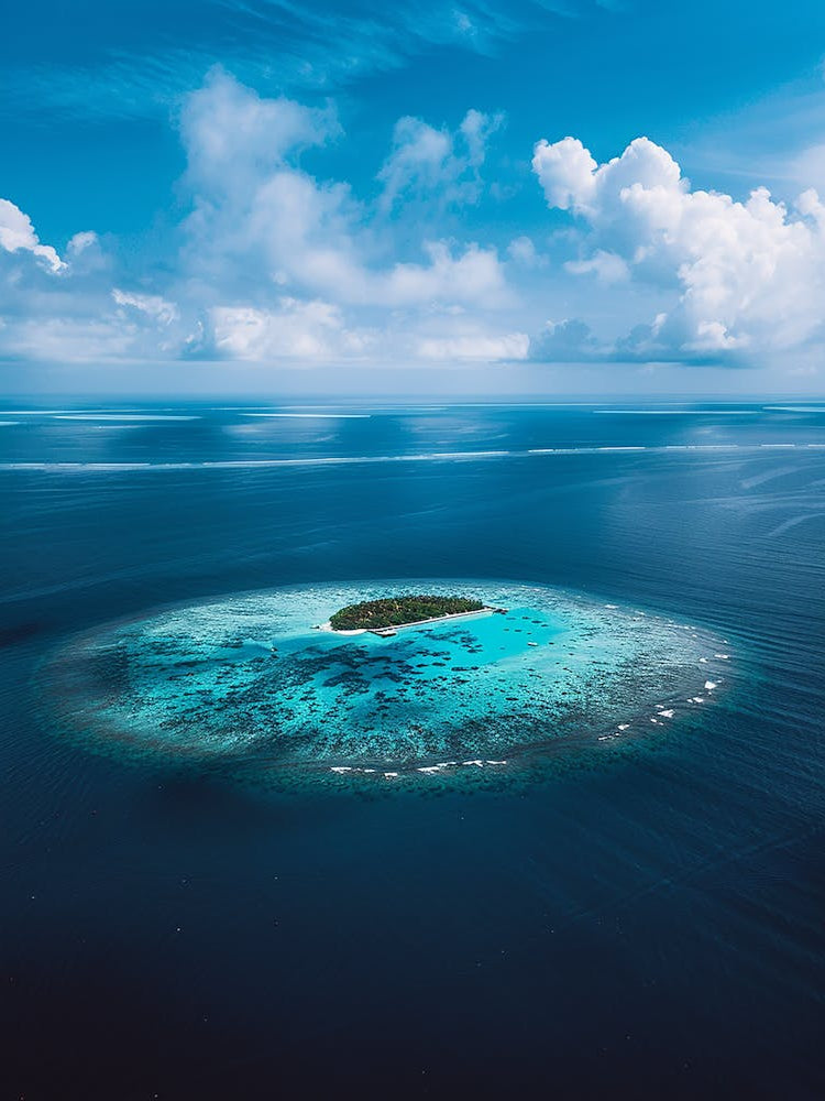 Island In The Middle Of The Ocean 5