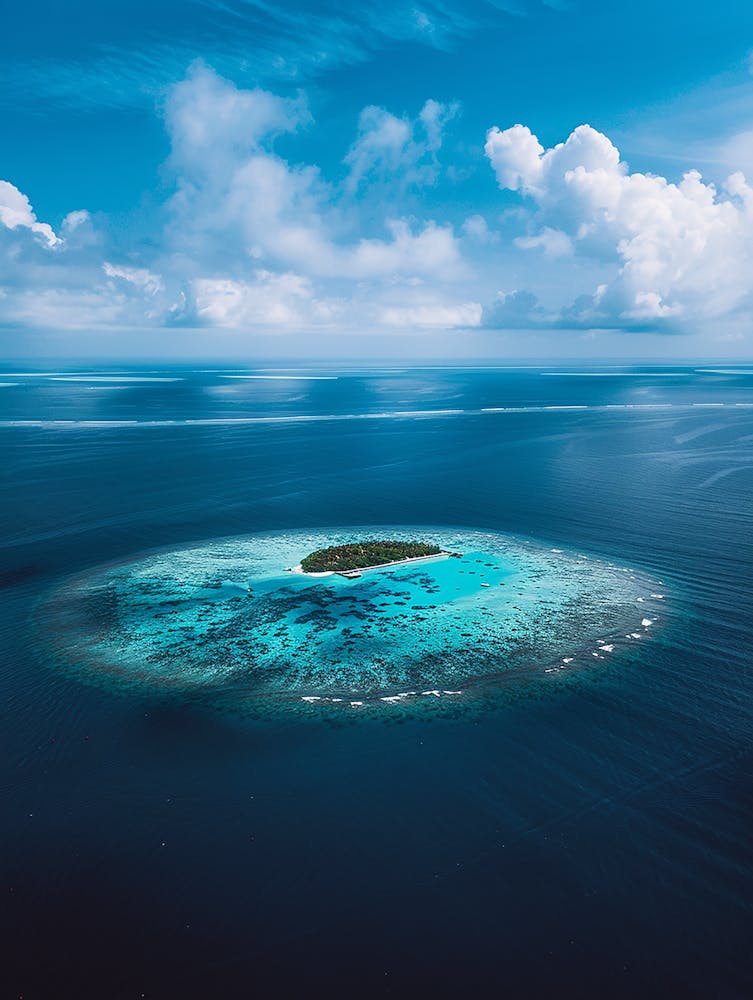 Island In The Middle Of The Ocean 5